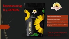 семена гибридов подсолнечника