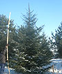 Крупномеры